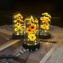Graduation season gift small sunflower plastic set