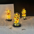 Graduation season gift small sunflower plastic set