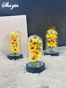 Graduation season gift small sunflower plastic set