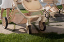 Baby carrige can sit