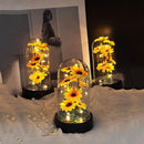 Graduation season gift small sunflower plastic set